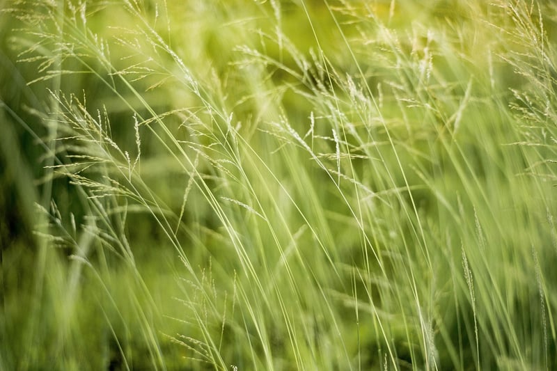 Eco-Friendly Designs